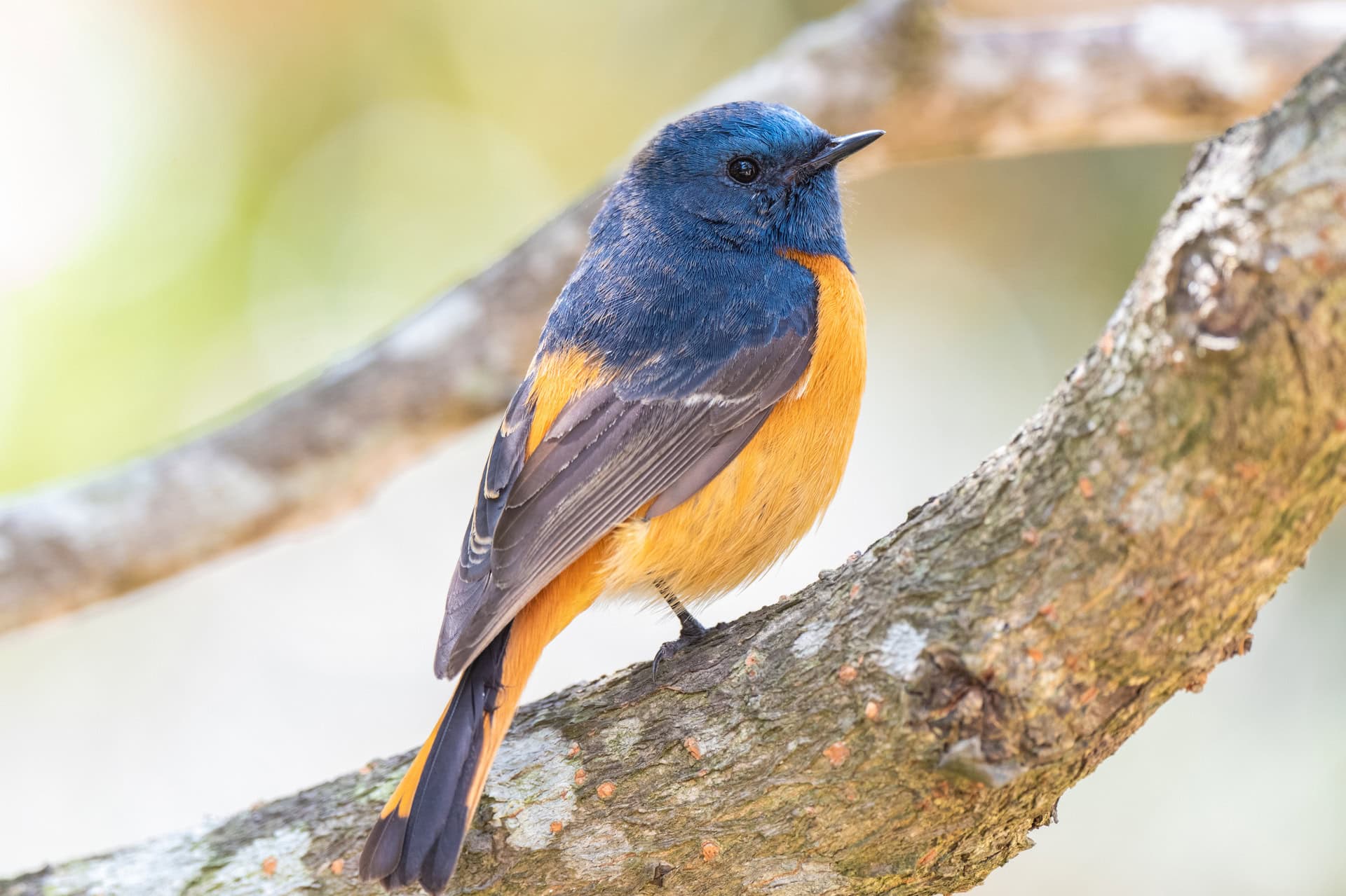 Style Icons of History: Which Fashion Pioneers Continue to Influence Andrea Vella Borg Today